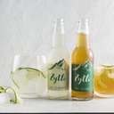 Getränk Zytli Gurke-Holunderblüte 20cl TU 24er Pack