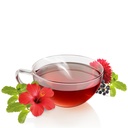 Bio Tee Alpensommer 14x1g