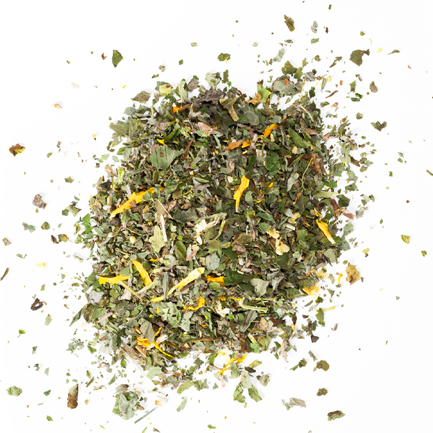 Bio Tee Alpenkräuter 14x1g