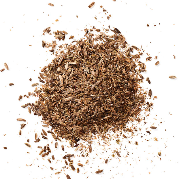 Bio Tee Fenchel 14x1g
