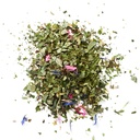 Bio Tee Traumhafter Abend 24x1g