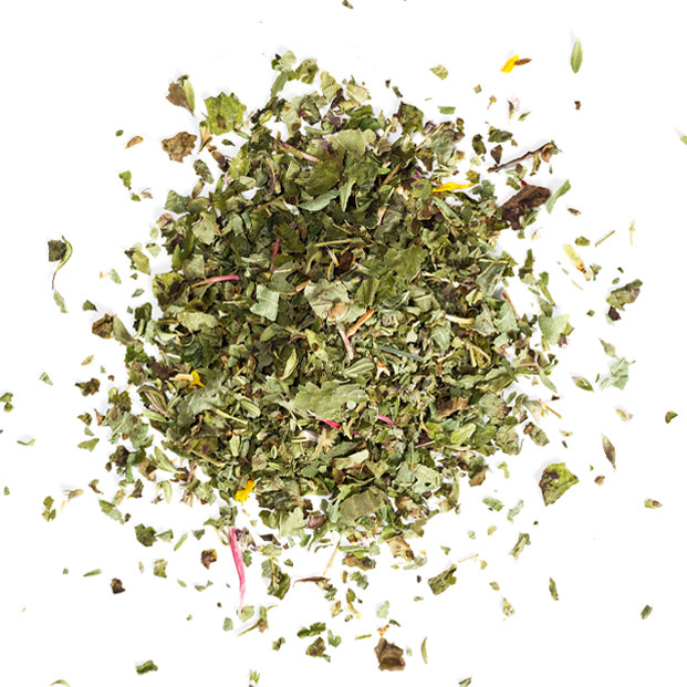 Bio Tee Alpenbrise 24x1g