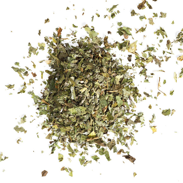 Bio Tee Bergfrische Minze 24x1g