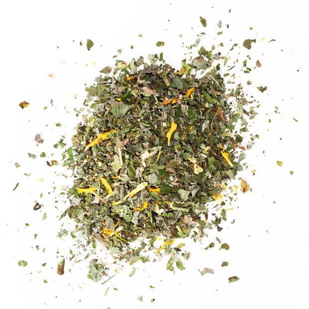 Bio Tee Alpenkräuter 24x1g