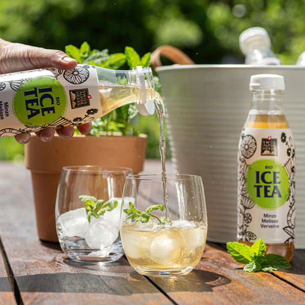 Bio Ice Tea Alpenkräuter 50cl