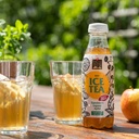 Bio Ice Tea sugarfree Ingwer 50cl
