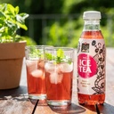 Bio Ice Tea Alpenrose 50cl