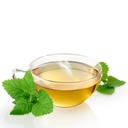 Bio Tee Zitronenmelisse 10x1g