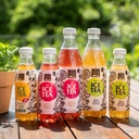 Bio Ice Tea Alpenrose 50cl