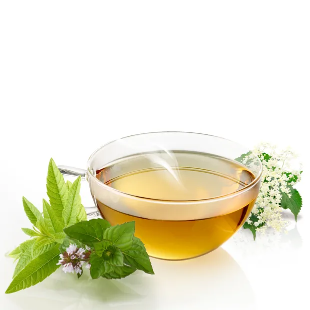 alpenkraeuter-teemischung-teetasse-bio.webp