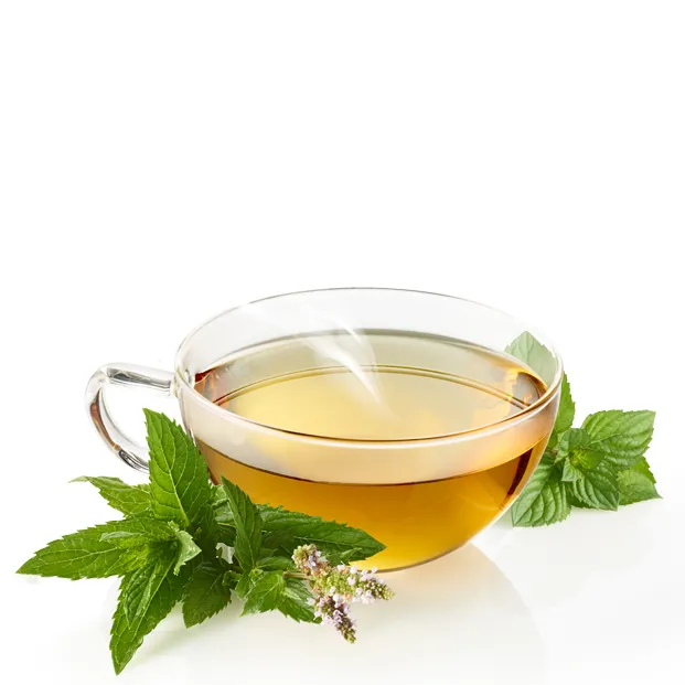 bergfrische-teemischung-teetasse-bio.webp