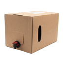 Bio Ice Tea Alpenrose 10l
